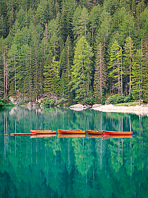 포토 JPG 해외이미지 나무 공원 호수 바다 여행 자연 하늘 아침 산 풍경 사람없음 야외 목재 초록색 물 여름 파란색 강 반사 이탈리아 보트 중앙 묶기 카누 노젓기 북쪽 남쪽 옛날 줄서기 해외포토 주간 자연요소 식물 계절 공공시설 유럽 컬러 배_교통 재료 모션 수상스포츠 방향 생태계 파일형식 이미지허브
