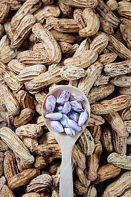 포토 JPG 해외이미지 식물 음식 백그라운드 농업 다이어트 재료 자연 탁자 콩 바닥 건조 건강 요리 씨앗 사람없음 목재 파란색 갈색 주방 견과류 수확 껍질 직물 바 선택 굽기 먹기 유기농 완두콩 땅콩 내추럴 단백질 채식주의자 해외포토 나무 웰빙 산업 컬러 가구 컨셉 모션 곡류 구이 생태계 채식 영양소 파일형식 이미지허브