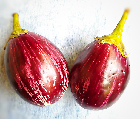 포토 JPG 해외이미지 모양 식물 잡화 음식 백그라운드 농업 다이어트 채소 과일 재료 자연 가지 양파 건강 요리 사람없음 빨간색 초록색 컬러풀 정원 보라색 식사 저녁식사 줄무늬 흰색 신선 원형 시장 맛 먹기 제비꽃 유기농 날것 정사각형 내추럴 고립 숙성 채식주의자 해외포토 도형 웰빙 꽃 산업 컬러 컨셉 무늬 모션 생태계 채식 파일형식 이미지허브