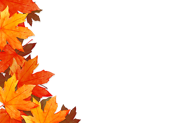 JPG 해외이미지 식물 단풍 잎 일러스트 붓터치 수채화 사람없음 그림 번짐 해외일러스트 파일형식 효과 이미지허브