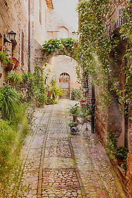 포토 JPG 해외이미지 주간 전통 해외풍경 외관 유럽 벽 여행 건축양식 자연 거리 사람없음 야외 건물 마을 정원 이탈리아 도시 타운 토스카나 해외포토 자연요소 해외 건축물 건축 나라 풍경 생태계 파일형식 이미지허브