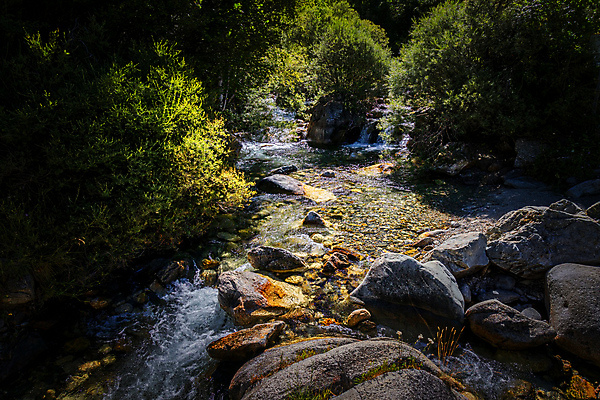포토 JPG 해외이미지 나무 공원 여행 자연 표면 휴가 산 국립공원 풍경 사람없음 야외 초록색 물 빛 강 반사 트래킹 하이킹 젖음 투명 액체 개울 황무지 스페인 숲 수로 내추럴 전국 해외포토 자연요소 식물 공공시설 유럽 컬러 레저 생태계 파일형식 이미지허브