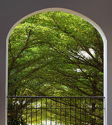 포토 JPG 해외이미지 나무 식물 전통 외관 유럽 도로 길 벽 건축양식 자연 출입구 조명 거리 사람없음 건물 목재 장식 초록색 여름 빛 울타리 문 탑 금속 정원 침묵 바위 나뭇가지 오픈 센터 철 타일 통로 아치 옛날 스타일 해외포토 건축물 계절 건축 나라 컬러 재료 교통시설 재질 담장 소리 돌_바위 생태계 파일형식 이미지허브