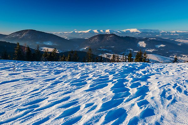 포토 JPG 해외이미지 나무 유럽 파도 여행 겨울 자연 하늘 휴가 스키 산 파노라마 풍경 사람없음 야외 파란색 태양 맑음 냉동 얼음 트래킹 하이킹 추위 성장 흰색 소나무 숲 언덕 서리 북쪽 슬로프 산악지대 웅장함 절정 폭설 눈내림 가문비나무 해외포토 자연요소 식물 계절 나라 바다 컬러 레저 날씨 겨울스포츠 스키장 눈_날씨 촬영기법 자연재해 방향 생태계 파일형식 이미지허브