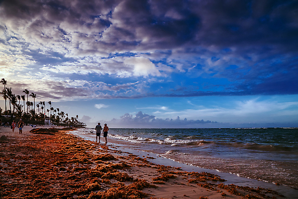 포토 JPG 해외이미지 나무 구름 실루엣 모래 바다 섬 여행 백그라운드 자연 하늘 아침 휴가 휴식 파노라마 손바닥 사람 풍경 사람없음 야외 물 여름 파란색 햇빛 태양 일출 맑음 일몰 휴양지 내추럴 공화국 이국적 파라다이스 수평선 해외포토 주간 자연요소 식물 손 계절 나라 컬러 컨셉 날씨 촬영기법 노을 장소 생태계 파일형식 이미지허브