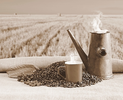포토 JPG 해외이미지 커피 음료 콩 사람없음 컵 신선 냄비 굽기 향기 아로마 향 에스프레소 옛날 카페인 해외포토 식기 곡류 솥 구이 냄새 파일형식 이미지허브