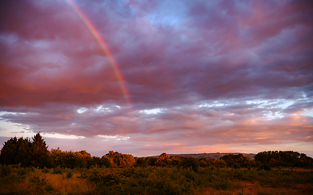 포토 JPG 해외이미지 나무 계절 여행 무지개 자연 하늘 휴가 영국 풍경 사람없음 야외 관광지 빛 햇빛 평화 일출 사진촬영 침묵 일몰 시골 땅 언덕 그림 장면 내추럴 해외포토 자연요소 식물 유럽 컨셉 태양 노을 촬영 소리 생태계 파일형식 이미지허브