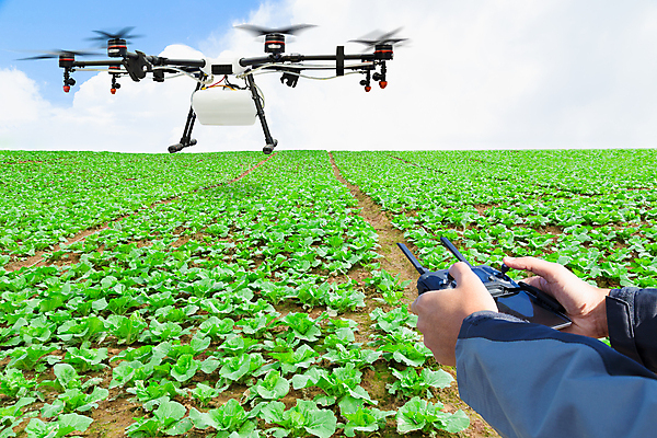 포토 JPG 해외이미지 식물 직업 산업 음식 잎 밭 농업 채소 재료 자연 안테나 건강 사람없음 초록색 농장 머리 환경 정원 봄 샐러드 성장 시골 신선 농부 상추 땅 스마트 유기농 날것 스프레이 분무기 시스템 멀리 내추럴 거름 드론 밭일 스프링쿨러 제어 채식주의자 화학물질 해외포토 웰빙 계절 컬러 컨셉 통신 신체부위 화학 생태계 채식 파일형식 이미지허브