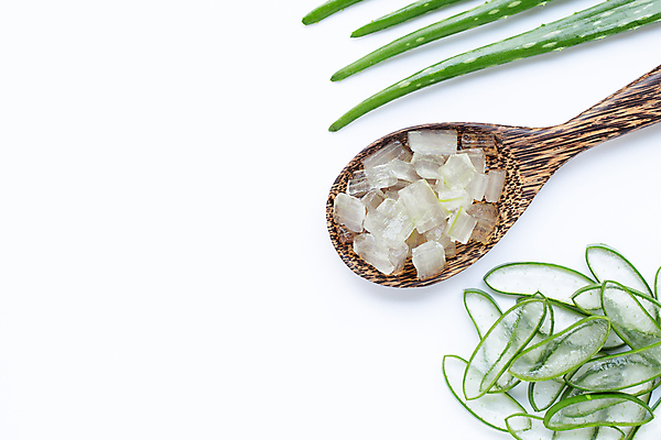 포토 JPG 해외이미지 스튜디오촬영 단면 실내 사람없음 하이앵글 흰배경 알로에 해외포토 식물 뷰포인트 백그라운드 내부 흰색 파일형식 이미지허브