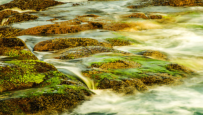 포토 JPG 해외이미지 바다 자연 조류 풍경 사람없음 물 빛 갈색 고요 바위 흰색 시간 서핑 매끈함 신비 화산 해외포토 자연요소 동물 컬러 컨셉 산 돌_바위 수상스포츠 감각 생태계 파일형식 이미지허브