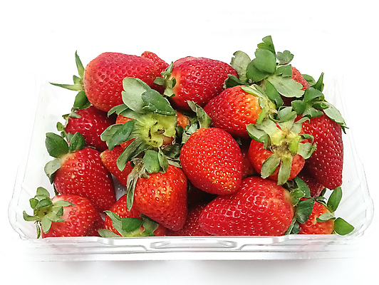 포토 JPG 해외이미지 열매 음식 잎 과일 딸기 디저트 사람없음 빨간색 농장 수확 신선 투명 선택 작음 컨테이너 플라스틱 먹기 토막 내추럴 해외포토 식물 산업 컬러 컨셉 농업 모션 재질 크기 파일형식 이미지허브