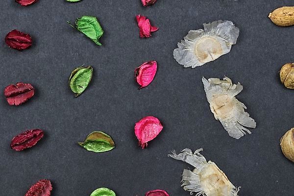 포토 JPG 해외이미지 식물 전통 디자인 계절 열매 꽃 백그라운드 컨셉 크리스마스 꽃무늬 자연 탁자 건조 미술 사람없음 장식 빨간색 초록색 갈색 축제 펼침 소나무 신용카드 황금 선택 숲 배열 향기 냄새 원뿔 내추럴 해외포토 도형 나무 기념일 컬러 가구 무늬 모션 문화예술 금융 생태계 파일형식 이미지허브