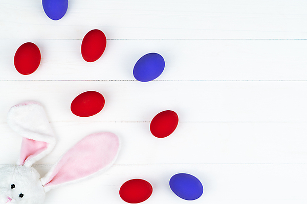 포토 JPG 해외이미지 동물 전통 계절 행복 얼굴 분홍색 백그라운드 밭 가족 자연 하늘 휴가 부활절 털 함께함 선물 사람없음 야외 목재 장식 빨간색 초록색 파란색 반려동물 컬러풀 노란색 파티 바구니 보라색 페인트 봄 수확 흰색 토끼 신용카드 작음 제비꽃 사냥 사냥꾼 공유 해외포토 나무 직업 기념일 꽃 감정 컬러 컨셉 농업 재료 포유류 관계 이벤트 신체부위 금융 크기 생태계 파일형식 이미지허브