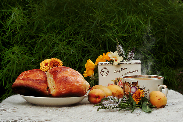 포토 JPG 해외이미지 디자인 꽃 음료 음식 잎 오렌지 탁자 사람없음 장식 컵 초록색 빛 컬러풀 갈색 노란색 침묵 수확 식탁보 흰색 나뭇가지 시골 뜨거움 황금 수증기 민트 제비꽃 유기농 냅킨 부드러움 양모 번 보유 살구 옛날 페스츄리 레터링 피튜니아 해외포토 나무 식물 식기 웰빙 빵 컬러 가구 농업 과일 소리 직물 감각 허브 파일형식 이미지허브