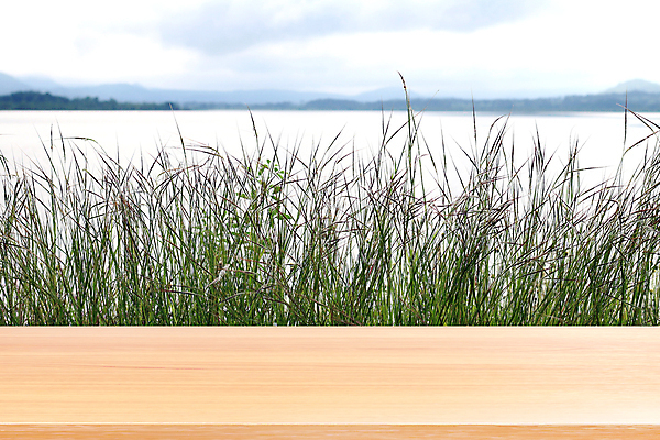 포토 JPG 해외이미지 식물 계절 공원 호수 여행 백그라운드 자연 탁자 하늘 표면 휴가 선반 풍경 사람없음 목재 초록색 물 여름 파란색 빛 강 햇빛 태양 소풍 우주 환경 정원 맑음 봄 신선 정상 댐 보케 내추럴 해외포토 자연요소 나무 공공시설 컬러 가구 재료 날씨 야외활동 생태계 파일형식 이미지허브