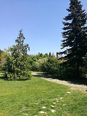 포토 JPG 해외이미지 나무 식물 직업 커플 공원 얼굴 음식 백그라운드 밭 인터넷 가족 하늘 거리 서기 사람 사람없음 야외 초록색 사무실 유행 정원 승차 큼 언덕 사인 고립 해외포토 공공시설 컬러 농업 비즈니스 관계 모션 신체부위 크기 파일형식 이미지허브