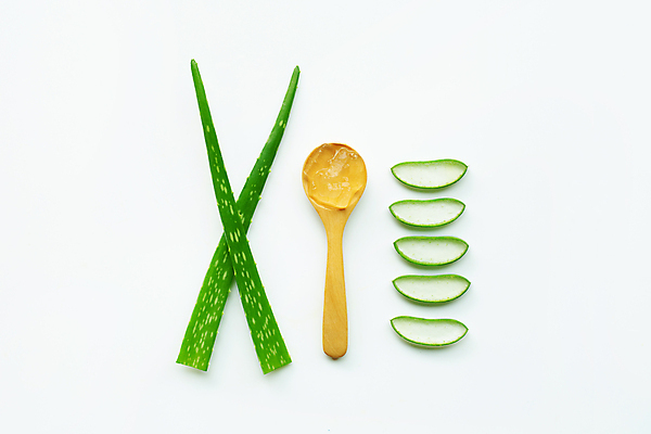 포토 JPG 해외이미지 스튜디오촬영 단면 실내 사람없음 하이앵글 뷰티 흰배경 알로에 해외포토 식물 뷰포인트 백그라운드 내부 흰색 파일형식 이미지허브