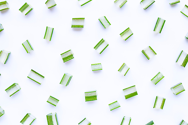 포토 JPG 해외이미지 스튜디오촬영 단면 실내 사람없음 하이앵글 뷰티 흰배경 알로에 해외포토 식물 뷰포인트 백그라운드 내부 흰색 파일형식 이미지허브