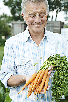 포토 JPG 해외이미지 백인 손 남자 행복 음식 농업 채소 한명 사람 취미 세로 농작물 정원 당근 수확 신선 잡기 60대 농부 수집 유기농 원예 건강식 밭일 원예사 해외포토 서양인 직업 1 웰빙 노년 감정 산업 모션 뿌리채소 신체부위 파일형식 이미지허브