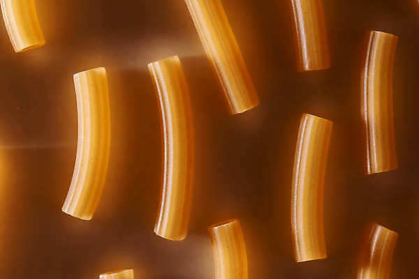 포토 JPG 해외이미지 꽃 2 재료 건조 파스타 건강 스파게티 요리 사람없음 노란색 이탈리아 흰색 쌍 닫기 둥지 밀 다발 묶기 먹기 묘사 국수 귀 밀짚 고립 녹말 탄수화물 펜네 해외포토 식물 유럽 음식 컬러 모션 곡류 서양음식 신체부위 면류 짚 파일형식 이미지허브