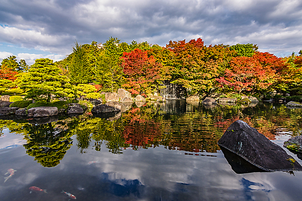 포토 JPG 해외이미지 디자인 계절 공원 아시아 호수 선 여행 단풍 잎 오렌지 자연 동양인 풍경 사람없음 야외 목재 초록색 물 빛 컬러풀 평화 정원 일본 폭포 가을 연못 숲 내추럴 해외포토 자연요소 나무 식물 공공시설 나라 컬러 컨셉 과일 재료 인종 생태계 파일형식 이미지허브