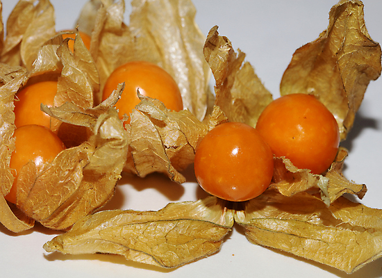 포토 JPG 해외이미지 식물 전통 계절 열매 꽃 음식 잎 다이어트 토마토 오렌지 과일 자연 탁자 디저트 건강 요리 사람없음 노란색 중국 놀람 껍질 신선 원형 체리 황금 달콤 맛 작음 망토 먹기 날것 구스베리 땅바닥 숙성 식용 이국적 페루 페스츄리 해외포토 도형 감정 아시아 빵 컬러 가구 컨셉 채소 모션 바닥 표정 남아메리카 크기 생태계 파일형식 이미지허브