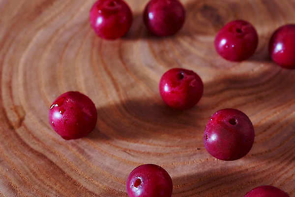 포토 JPG 해외이미지 산업 음식 줄기 잎 재료 자연 건강 사람없음 가로 빨간색 빛 농작물 봄 체리 맛 다발 상쾌 질감 흙더미 건강식 숙성 해외포토 식물 계절 감정 컬러 컨셉 농업 과일 흙 생태계 파일형식 더미 이미지허브