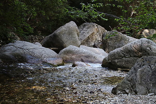 포토 JPG 해외이미지 식물 백그라운드 잎 자연 산 이끼 풍경 사람없음 초록색 물 강 환경 침묵 봄 폭포 바위 개울 황무지 티켓 수증기 숲 작음 운하 그리너리 해외포토 자연요소 계절 컬러 소리 돌_바위 크기 생태계 파일형식 트랜드컬러 이미지허브