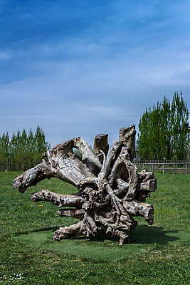 포토 JPG 해외이미지 모양 나무 식물 계절 모래 조각 여행 백그라운드 자연 하늘 지붕 휴가 사람없음 목재 파란색 정원 맑음 봄 나뭇가지 묘사 원예 질감 내추럴 엑스포 옛날 카피스페이스 해외포토 컬러 재료 날씨 취미 공백 생태계 파일형식 이미지허브