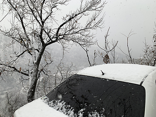 포토 JPG 해외이미지 나무 구름 계절 조각 여행 백그라운드 겨울 자동차 자연 하늘 날씨 휴가 산 풍경 사람없음 야외 목재 환경 계곡 냉동 얼음 침묵 하이킹 추위 안개 덮개 흰색 시골 눈송이 위험 서리 심플 장면 눈보라 내추럴 재앙 제설기 폭설 눈내림 해외포토 자연요소 식물 육상교통 컬러 컨셉 재료 레저 눈_날씨 소리 뚜껑 자연재해 생태계 제설 파일형식 이미지허브