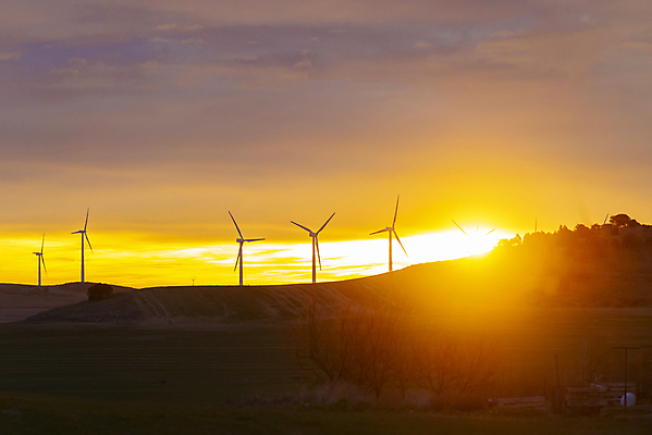 포토 JPG 해외이미지 공원 산업 밭 자연 하늘 바람 산 풍경 사람없음 야외 초록색 태양 농장 일출 환경 힘 일몰 재활용 풍차 발전기 에너지 그린에너지 풍력에너지 밀 생태계 프로펠러 지구온난화 유지 내추럴 방앗간 생태학 해외포토 자연요소 공공시설 교육 컬러 농업 날씨 곡류 노을 발전소 친환경 기후변화 파일형식 이미지허브