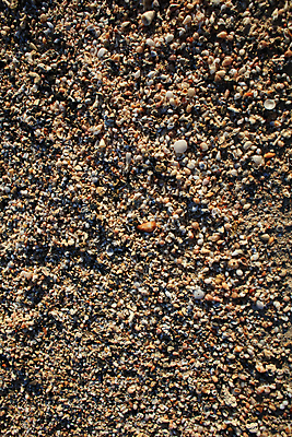 포토 JPG 해외이미지 모래 파도 바다 섬 여행 자연 하늘 휴가 조개 휴식 사람없음 야외 물 파란색 빛 모래사장 햇빛 반사 우주 일출 일몰 껍질 흰색 신선 황금 고급 수집 오브젝트 싱글 휴양지 부드러움 내추럴 앵무조개 터키석 플로리다 해외포토 자연요소 컬러 컨셉 어패류 태양 노을 미국 장소 감각 보석 생태계 파일형식 이미지허브