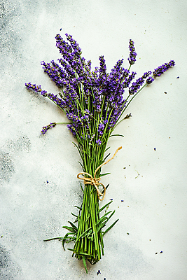 포토 JPG 해외이미지 꽃 꽃다발 실내 사람없음 다발 라벤더 해외포토 식물 내부 허브 파일형식 이미지허브