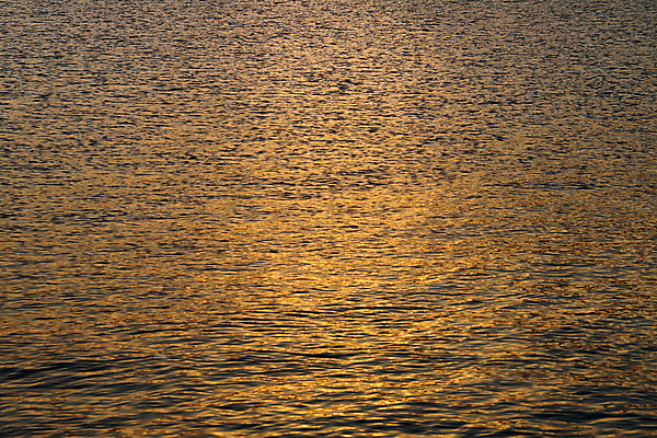 포토 JPG 해외이미지 파도 바다 조류 표면 휴식 거리 항해 파노라마 사람없음 가로 빛 햇빛 태양 반사 평화 우주 일출 침묵 새벽 광선 황금 닫기 야간 질감 장면 스카이라인 설정 노려봄 떠남 웅장함 해외포토 자연요소 동물 컨셉 배_교통 모션 촬영기법 표정 노을 소리 파일형식 이미지허브