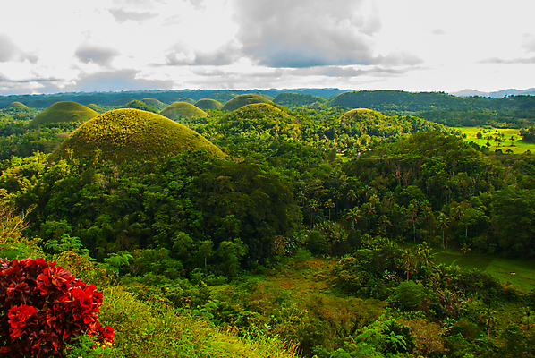 포토 JPG 해외이미지 나무 구름 계절 아시아 섬 여행 자연 하늘 휴가 산 동양인 풍경 사람없음 야외 초록색 여름 여행객 초콜릿 시골 숲 언덕 공상 내추럴 석회암 이국적 지질학 수평선 해외포토 자연요소 식물 교육 나라 컬러 디저트 사람 인종 암석 생태계 파일형식 이미지허브