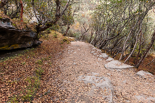 포토 JPG 해외이미지 스포츠 여행 불교 가이드 자연 하늘 휴가 산 국립공원 풍경 사람없음 야외 여행객 산책 등산 트래킹 하이킹 도전 기도 깃발 정상 네팔 방법 산악가 절정 하이커 히말라야 해외포토 직업 공원 아시아 종교 레저 휴식 사람 생태계 파일형식 산맥 이미지허브