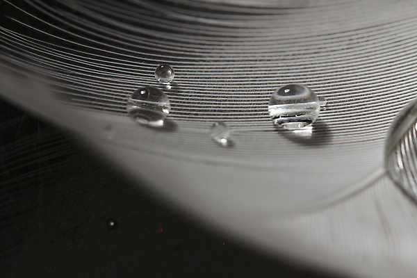 포토 JPG 해외이미지 실루엣 날개 상상 불꽃 왕관 천사 요정 사람없음 물 반짝임 평화 수영 고요 꿈 물방울 황금 우아함 확대 매끈함 순수 깃털 심플 백조 윤곽 부드러움 공상 깃털펜 깊이 단아함 슬라이드 천진난만 취급주의 카피스페이스 해외포토 자연요소 컨셉 모션 조류 불 촬영기법 경고 펜 공백 수상스포츠 감각 파일형식 이미지허브