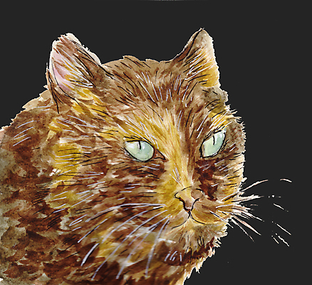 포토 JPG 해외이미지 동물 1 응시 얼굴 백그라운드 일러스트 포유류 수채화 털 미술 성인 사람없음 초록색 반려동물 갈색 머리 고양이 페인트 그리기 스케치 모피 그림 얼룩무늬 솜털 고립 현실 해외일러스트 시선 컬러 무늬 모션 문화예술 사람 신체부위 파일형식 이미지허브