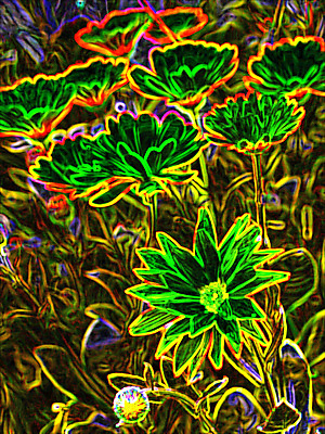 포토 JPG 해외이미지 식물 꽃 꽃무늬 일러스트 자연 종류 미술 사람없음 야외 빛 컬러풀 디지털 활발 벚꽃 시골 그리기 개화 보호 만족 그림 많음 해외일러스트 감정 컬러 컨셉 무늬 모션 문화예술 생태계 파일형식 이미지허브