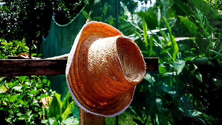 포토 JPG 해외이미지 바다 백그라운드 휴가 휴식 집게 손바닥 사람없음 야외 가로 파란색 컬러풀 햇빛 태양 뷰티 유행 스크린 수확 흰색 직물 닫기 호주 보호 빨랫줄 자르기 싱글 휴양지 밀짚모자 데이지 심플 강렬 웅장함 스타일 수평선 카피스페이스 미니멀리스트 미니멀 해외포토 자연요소 모자_잡화 손 꽃 줄 컬러 컨셉 농업 모션 공백 장소 오세아니아 파일형식 이미지허브