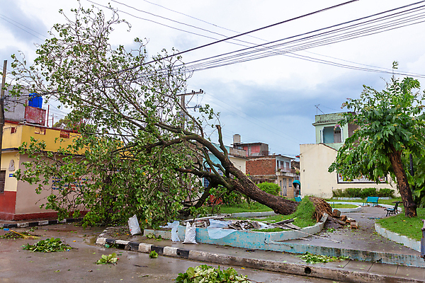 포토 JPG 해외이미지 나무 공원 도로 자연 하늘 바람 날씨 거리 주택 사람없음 초록색 여름 손상 가을 흰색 나뭇가지 죽음 도시 떨어짐 파편 숲 장애물 질감 뿌리 폭풍 내추럴 종료 깨짐 마이애미 심각 옛날 허리케인 플로리다 해외포토 자연요소 식물 계절 공공시설 길 컬러 컨셉 교통시설 건물 미국 자연재해 생태계 파일형식 이미지허브