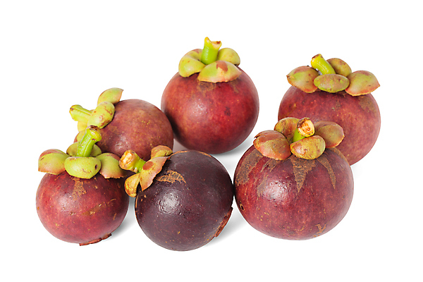 포토 JPG 해외이미지 아시아 과일 태국 자연 디저트 건강 요리 동양인 사람없음 초록색 정원 보라색 수확 시골 신선 시장 달콤 과수원 오브젝트 내추럴 이국적 해외포토 나라 음식 컬러 농업 인종 맛 생태계 파일형식 이미지허브