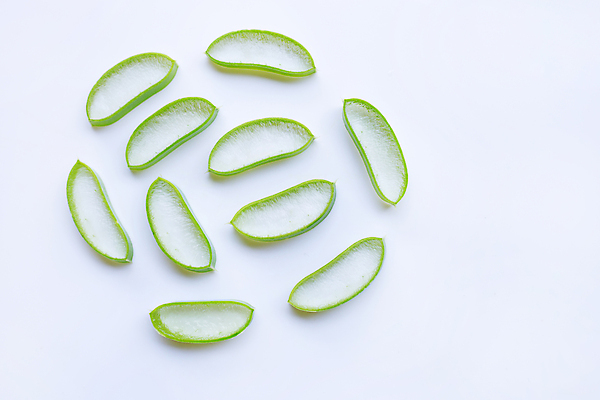 포토 JPG 해외이미지 스튜디오촬영 단면 실내 사람없음 뷰티 흰배경 알로에 해외포토 식물 백그라운드 내부 흰색 파일형식 이미지허브