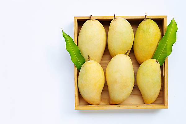 포토 JPG 해외이미지 잎 실내 사람없음 여러개 나무상자 열대과일 흰배경 담기 망고 해외포토 식물 다수 백그라운드 과일 모션 내부 상자 흰색 파일형식 이미지허브