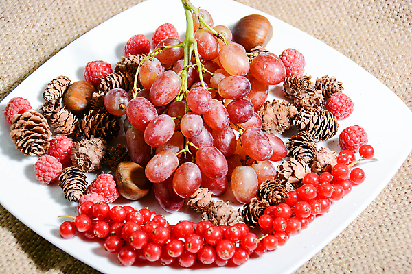 포토 JPG 해외이미지 겨울 과일 자연 포도 건강 사람없음 가을 사과 복지 블루베리 산딸기 호두 석류 블랙베리 해외포토 계절 견과류 사회이슈 생태계 파일형식 이미지허브