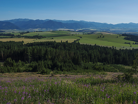 포토 JPG 해외이미지 나무 구름 계절 공원 여행 백그라운드 패턴 자국 자연 하늘 산 풍경 경사 사람없음 야외 초록색 여름 파란색 빛 태양 환경 계곡 안개 소나무 숲 언덕 장면 침엽수 내추럴 슬로바키아 절정 가문비나무 해외포토 자연요소 식물 공공시설 유럽 컬러 무늬 날씨 생태계 파일형식 이미지허브