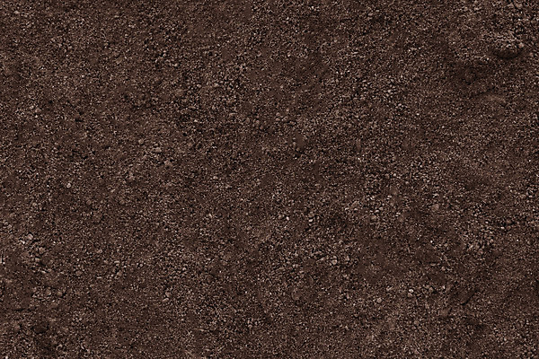 포토 JPG 해외이미지 식물 지구 백그라운드 패턴 밭 농업 표면 사람없음 빨간색 농장 갈색 환경 정원 검은색 흙 보호 땅 유기농 원예 질감 먼지 지역 내추럴 땅바닥 심기 세련 해외포토 웰빙 산업 컬러 컨셉 무늬 모션 바닥 취미 파일형식 이미지허브