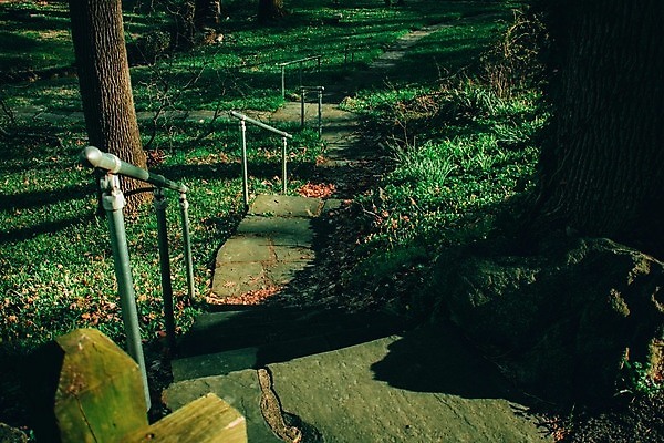 포토 JPG 해외이미지 도로 길 잎 곡선 손가락 자국 자연 사람없음 목재 초록색 태양 평화 걷기 계단 산책 폭포 하이킹 탐험 시골 개울 구부린 신비 오솔길 방향 상승 단계 10월 깊이 방법 선로 해외포토 자연요소 나무 식물 손 선 컬러 컨셉 재료 교통시설 모션 레저 휴식 강 날짜 생태계 파일형식 이미지허브