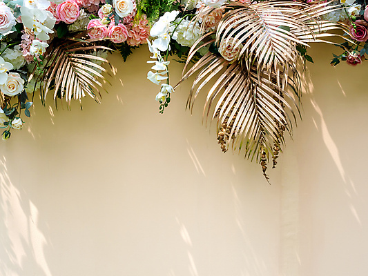 포토 JPG 해외이미지 식물 디자인 기념일 꽃 분홍색 꽃다발 결혼 백그라운드 잎 크리스마스 꽃무늬 결혼식 휴가 손바닥 이벤트 사람없음 야외 장식 초록색 여름 빛 장미 파티 유행 우주 축제 수확 흰색 축하 신선 생일 개화 황금 고급 우아함 옛날 진짜 스타일 해외포토 손 계절 컬러 컨셉 무늬 농업 파일형식 이미지허브