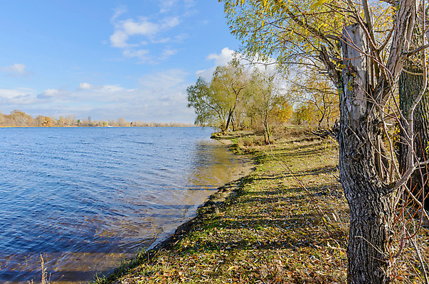 포토 JPG 해외이미지 나무 구름 계절 호수 자연 하늘 아침 갈대 풍경 사람없음 물 강 햇빛 반사 맑음 가을 연못 버드나무 미루나무 세피아 수목 우크라이나 해외포토 주간 자연요소 식물 유럽 날씨 촬영기법 태양 생태계 파일형식 이미지허브